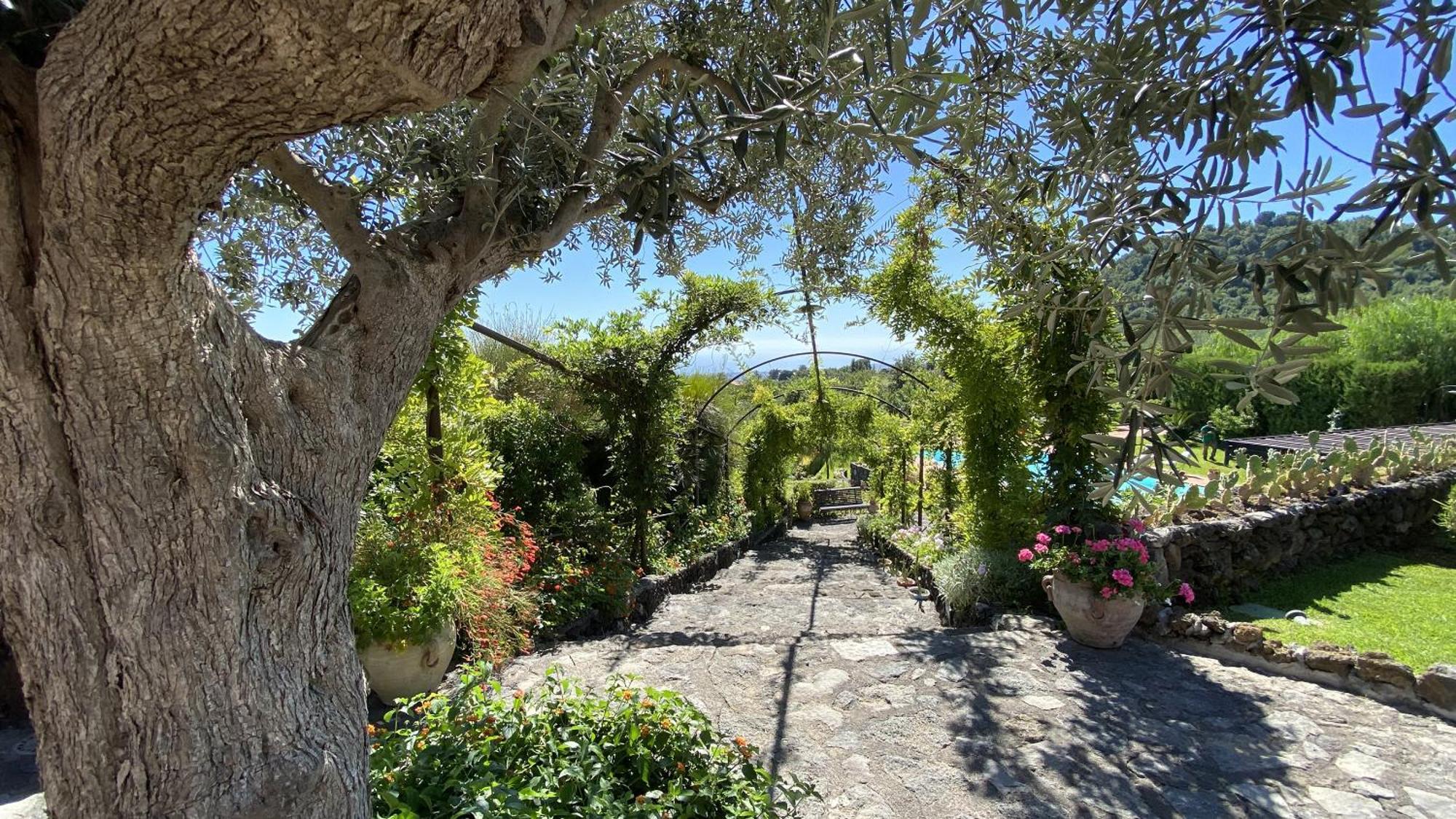 فيلا Il Palmento Dell'Etna تريكاستانيي المظهر الخارجي الصورة