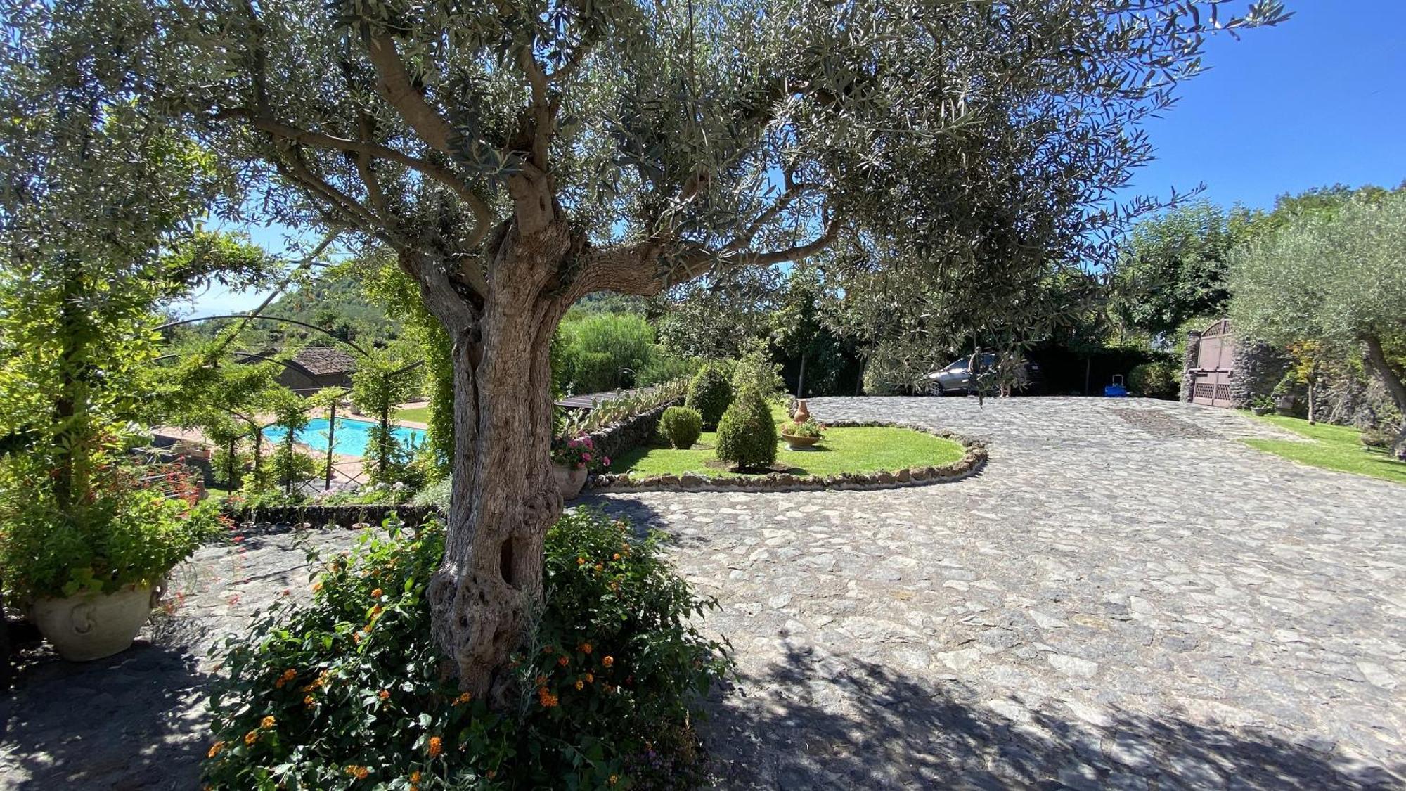 فيلا Il Palmento Dell'Etna تريكاستانيي المظهر الخارجي الصورة